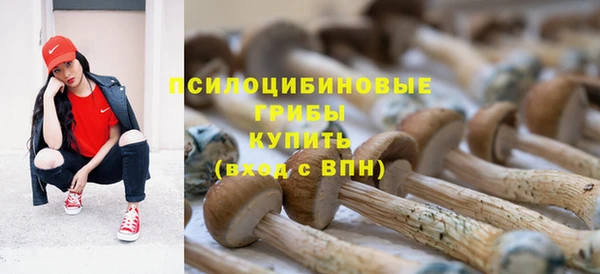 гидра Баксан