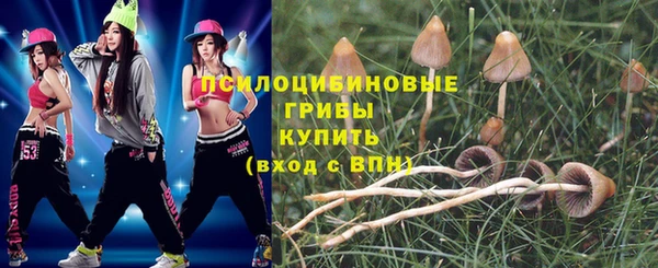 молекула духа Балабаново