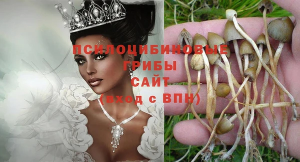гидра Баксан