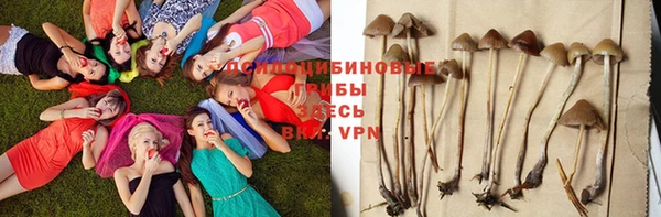 герыч Балахна