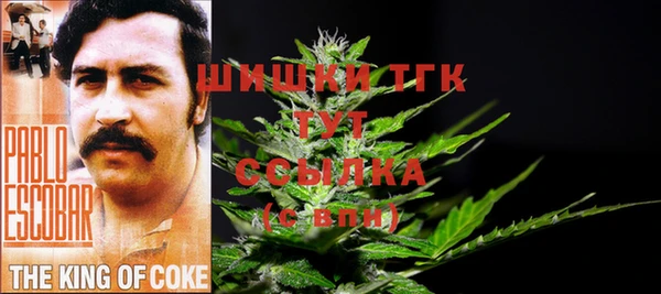 гидра Баксан