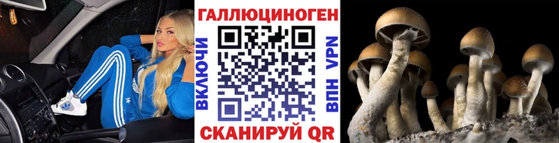 Галлюциногенные грибы прущие грибы дарнет шоп дарк нет формула Ульяновск